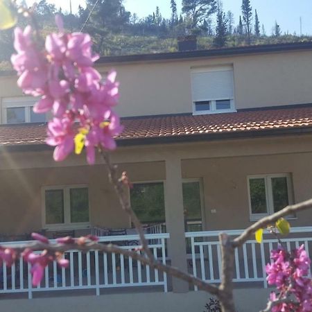 Apartment Marta Čapljina Eksteriør bilde